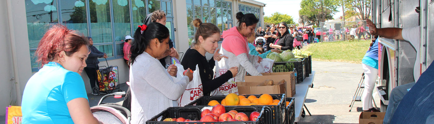 HeroImage-Food-Distribution-2018