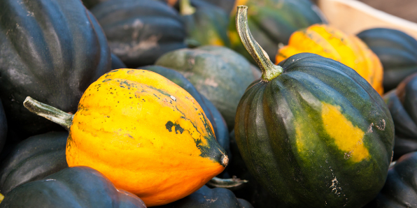 acorn squash