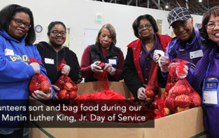 Volunteers sorting food during our 2019 Martin Luther King, Jr. Day of Service