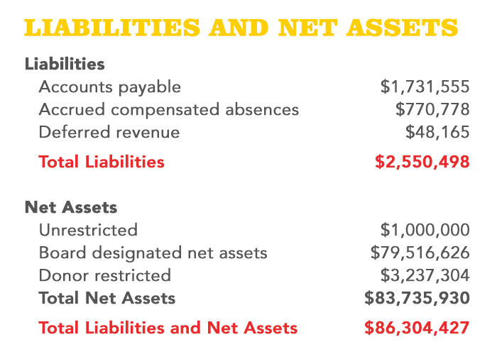 AR23-Finances-TextGraphic-LiabilitiesNetAssets-2