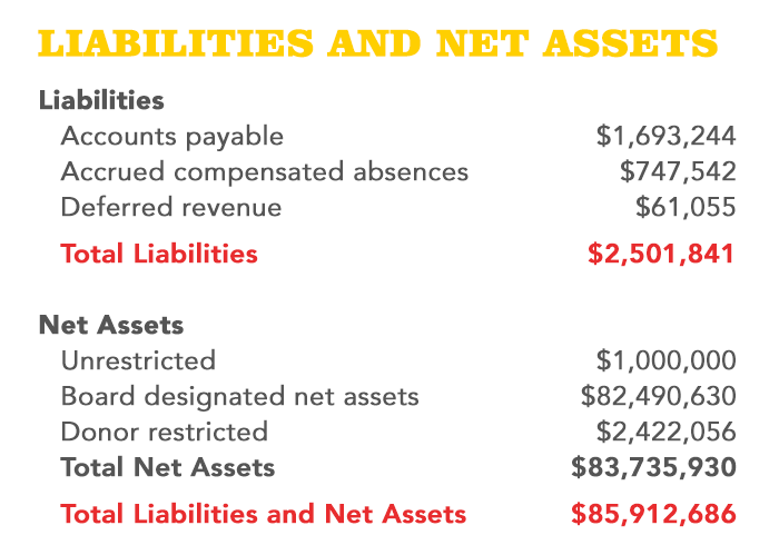 AR24-Finances-TextGraphic-liability-net-asset
