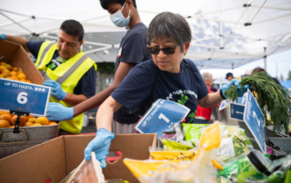 Volunteers sorting through boxes of food