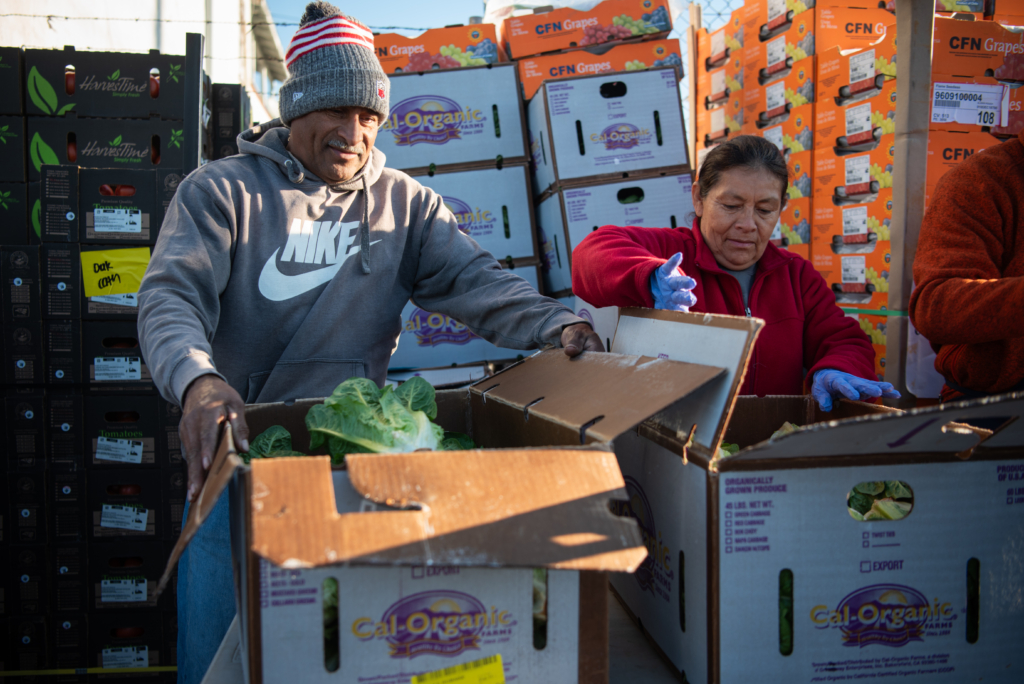 Volunteers unload boxes of produce