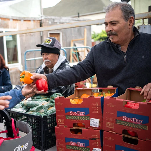 Half-Column-520×520-Food-Dist-1 Food bank staff member delivering fresh carrots